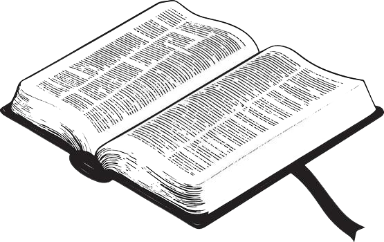 /open-bible-removebg-preview.png